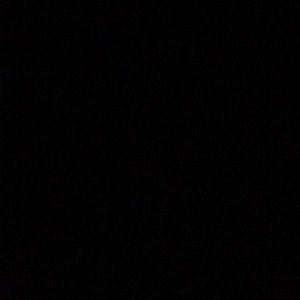 ISO- Milk Makeup, Glossier, Fenty Beauty